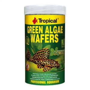 green-algae-wafers-tropical