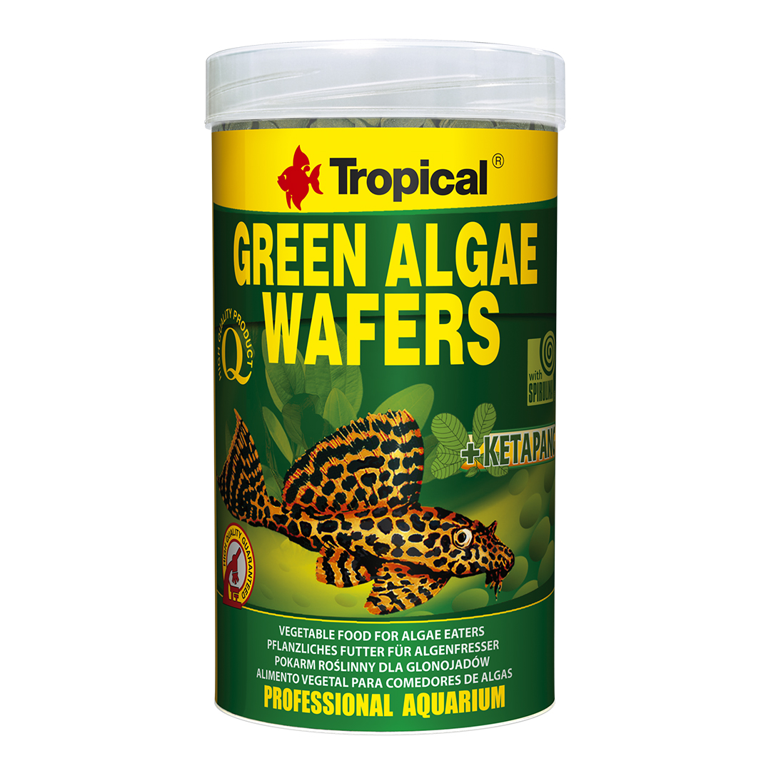 green-algae-wafers-tropical