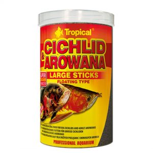 cichlid-arowana-large-sticks-tropical