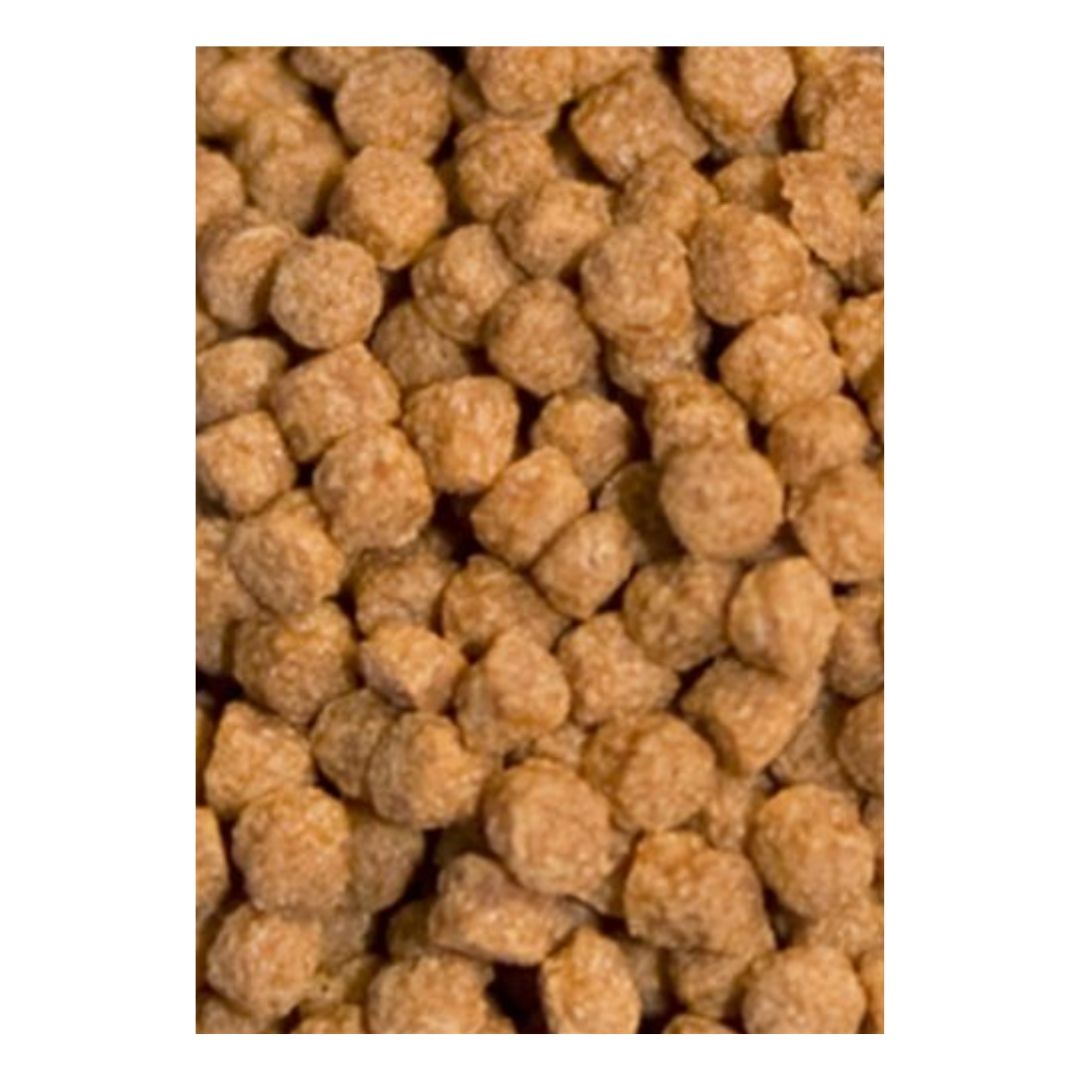gr-atison's-betta-food-ocean-nutricion