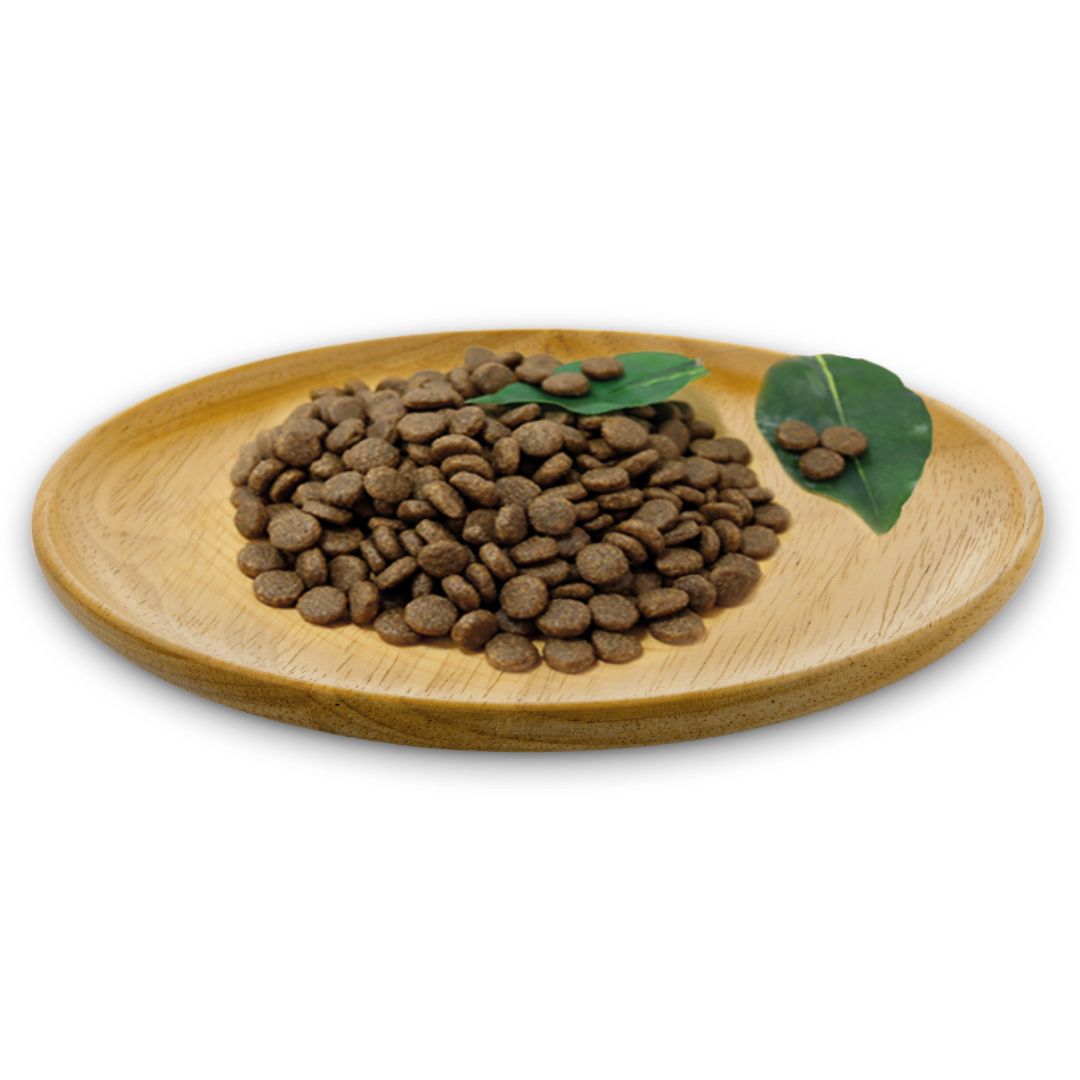 Tamaño croqueta pienso para gatos adultos y cachorros kitten Natural Greatnees Wild Instinct Medium Large