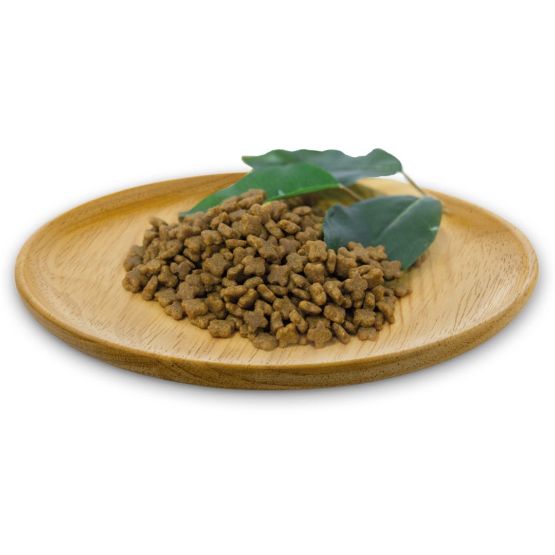 Tamaño croqueta pienso para gatos adultos y cachorros kitten Natural Greatnees Wild Instinct