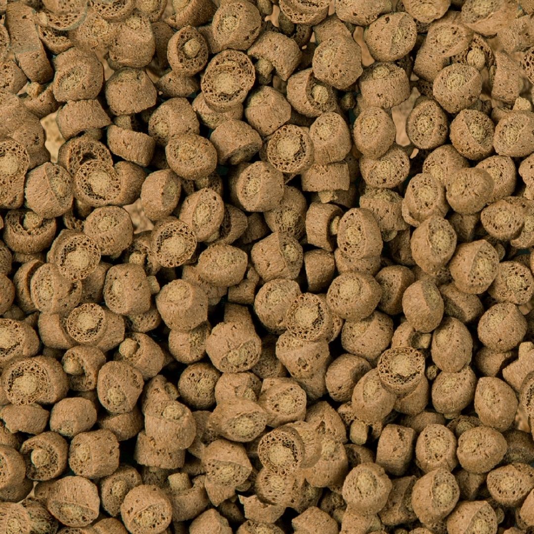 Comida tortugas acuáticas granulado sera carnivor nature