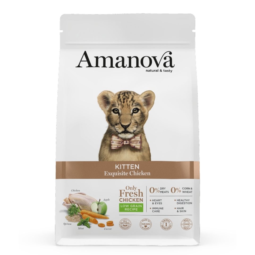 Pienso para gatitos kitten exquisite chicken amanova