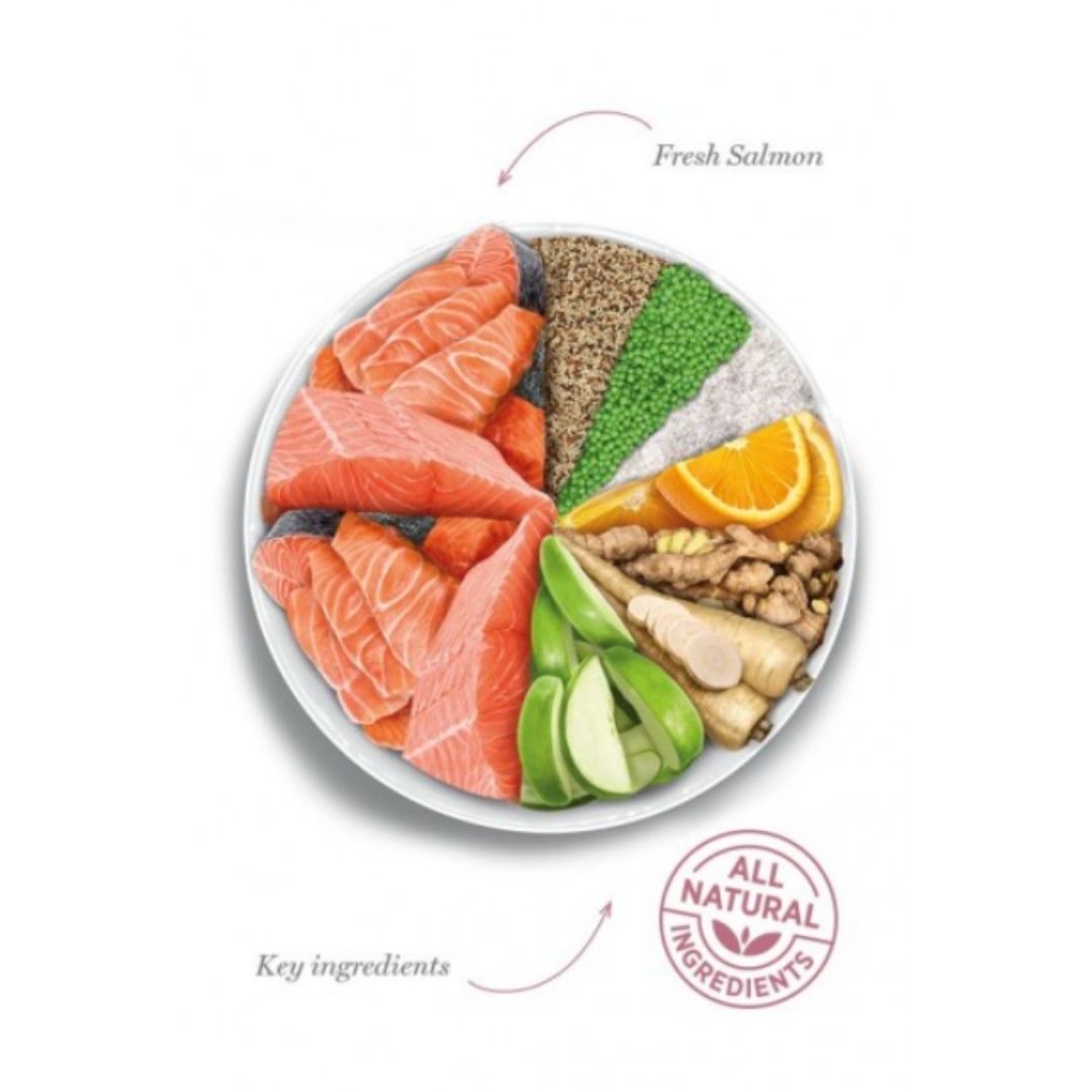 Pienso para gatos adultos AMANOVA ADULT CAT SALMON DELUXE - Imagen 2