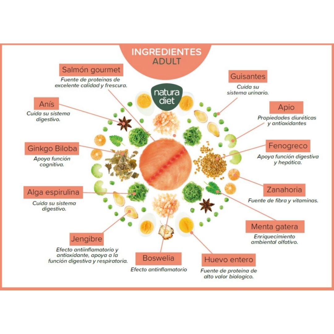 Gráfico de ingredientes Natura Diet Salmón & Vegs