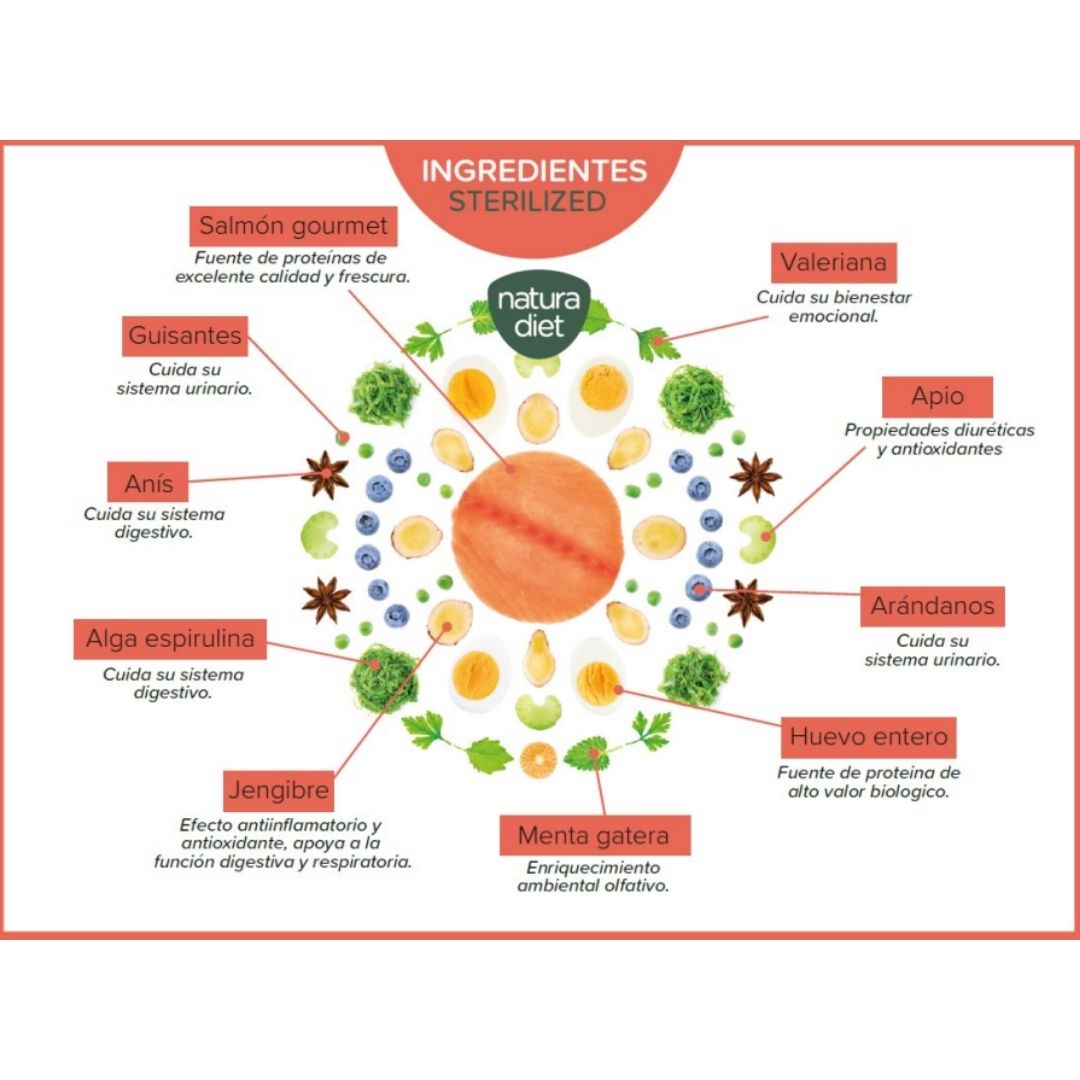Gráfico de ingredientes pienso para gatos esterilizados Natura Diet Salmon & Vegs