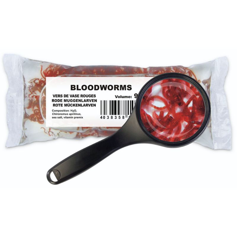 Larvas rojas de mosquito vivas Chironomus aprilinus alimento vivo para peces anfibios 100% natural comida viva para peces de acuario