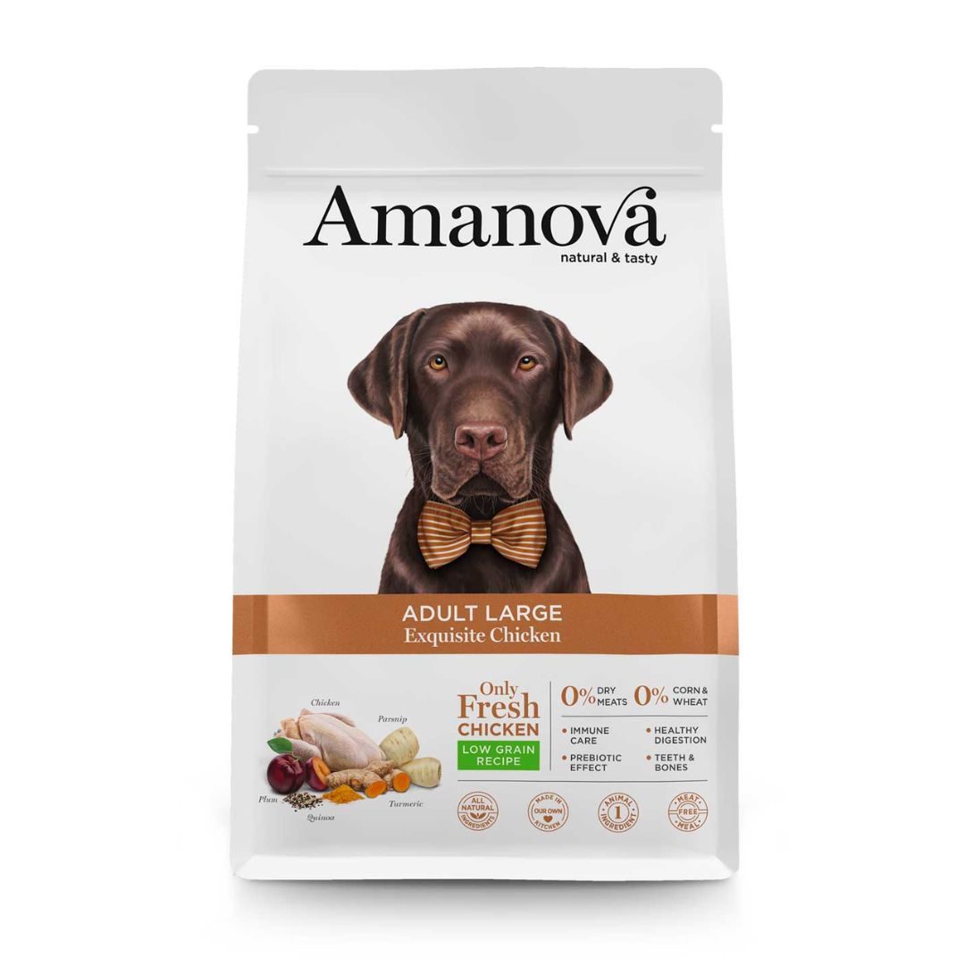Amanova adult large exquisite chicken pienso hipoalergénico