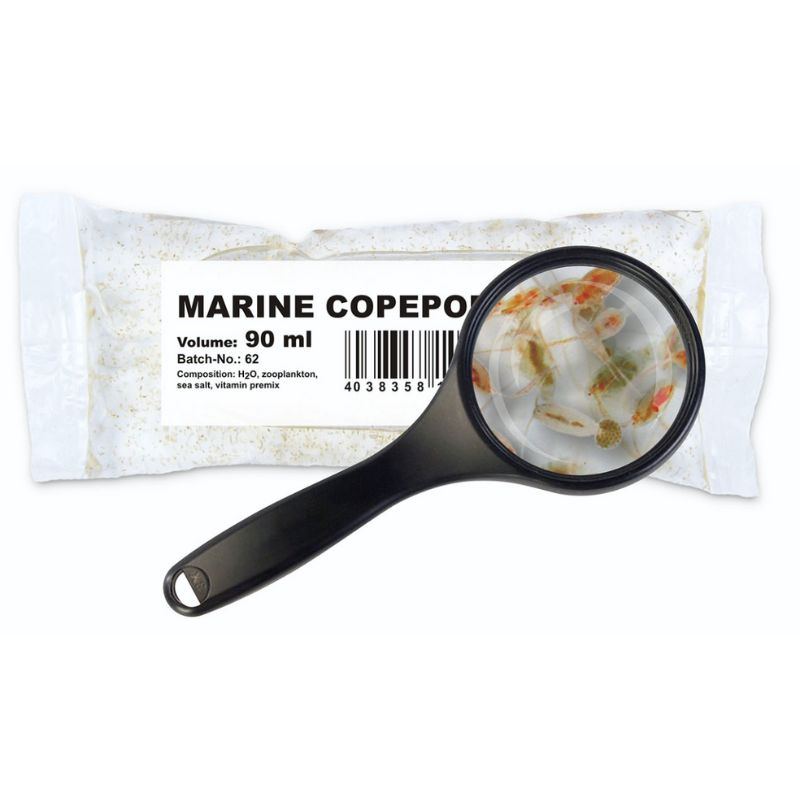 Copépodos Vivos alimentación para peces de acuario marino y dulce comida viva 100% Natural
