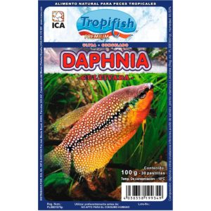 Alimento congelado para peces de acuario o estanque Daphnia Pulex Congelada comida 100% natural