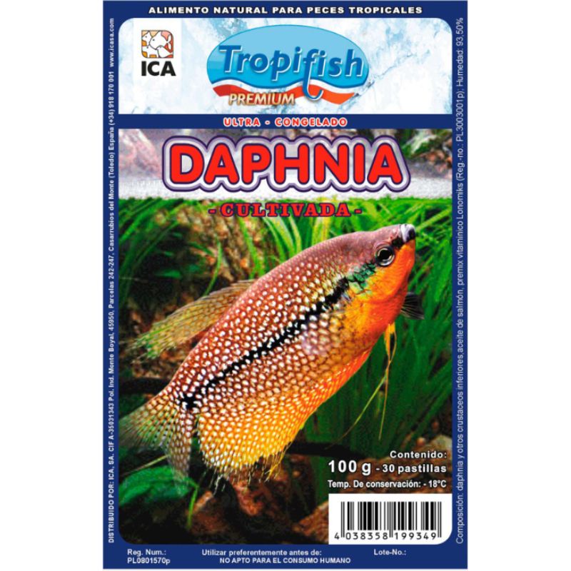 Alimento congelado para peces de acuario o estanque Daphnia Pulex Congelada comida 100% natural