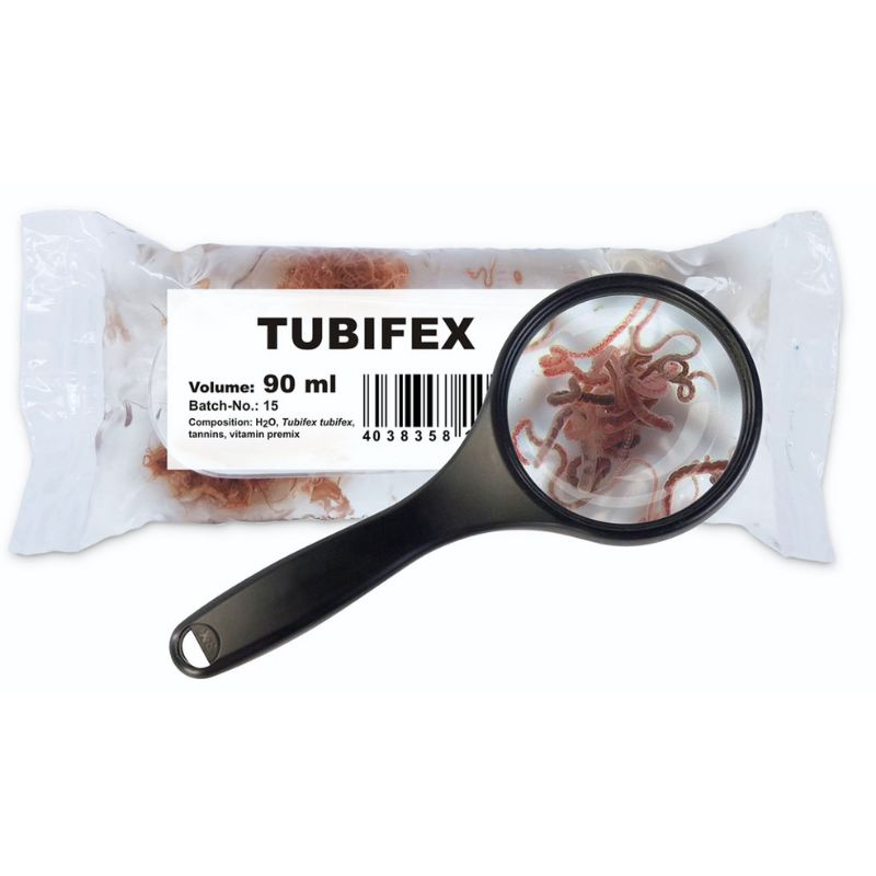 Tubifex Vivo alimento vivo para peces tropicales de acuario y estanques comida viva 100% Natural