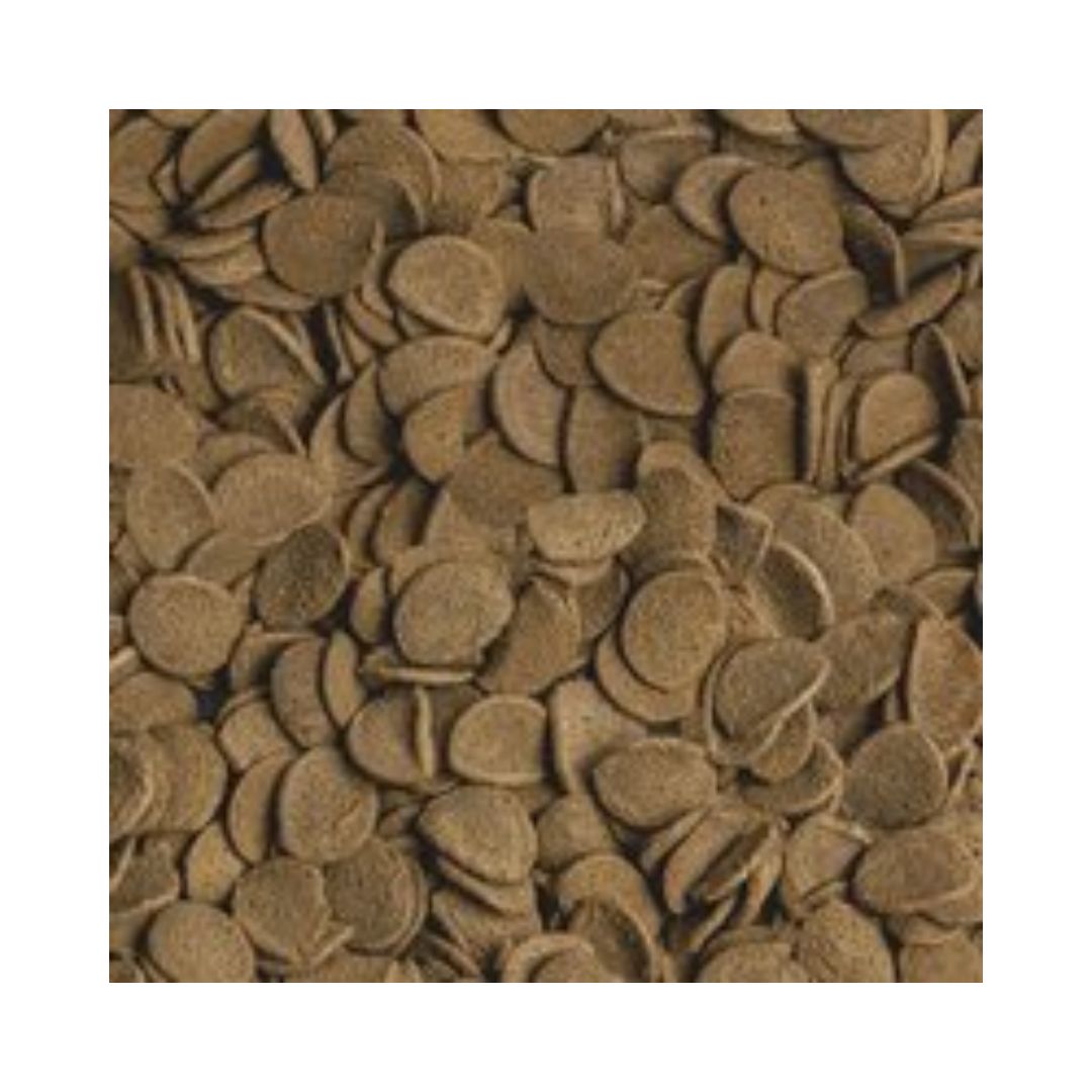Muestra de la comida en comprimidos para peces tropicales que habitan en el fondo corydoras ancistrus khulis Sera Vipachips Wafers Nature