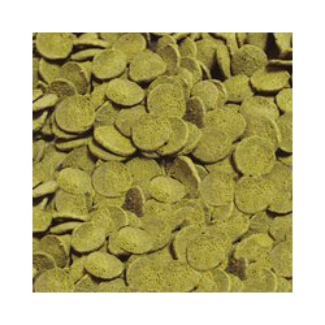 Presentación de la comida para peces de fondo rascadores y chupadores Sera Pleco Chips Nature en formato chips