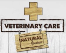 Piensos de dieta veterinaria para perros y gatos 100% natural