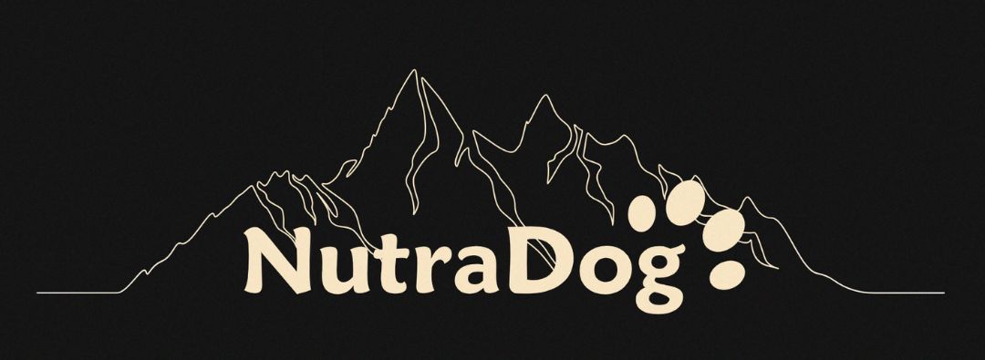 Piensos naturales para perros y gatos, piensos grain free, hipoalergénicos, funcionales y económicos