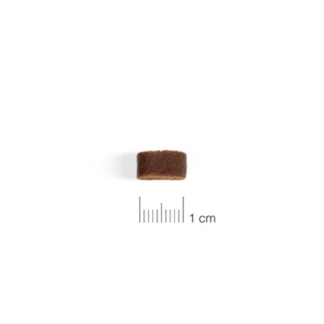 Forma de los Premios Snacks para perros Moments Light con Pavo y frutos rojos naturales sin cereales sin gluten 60 gr