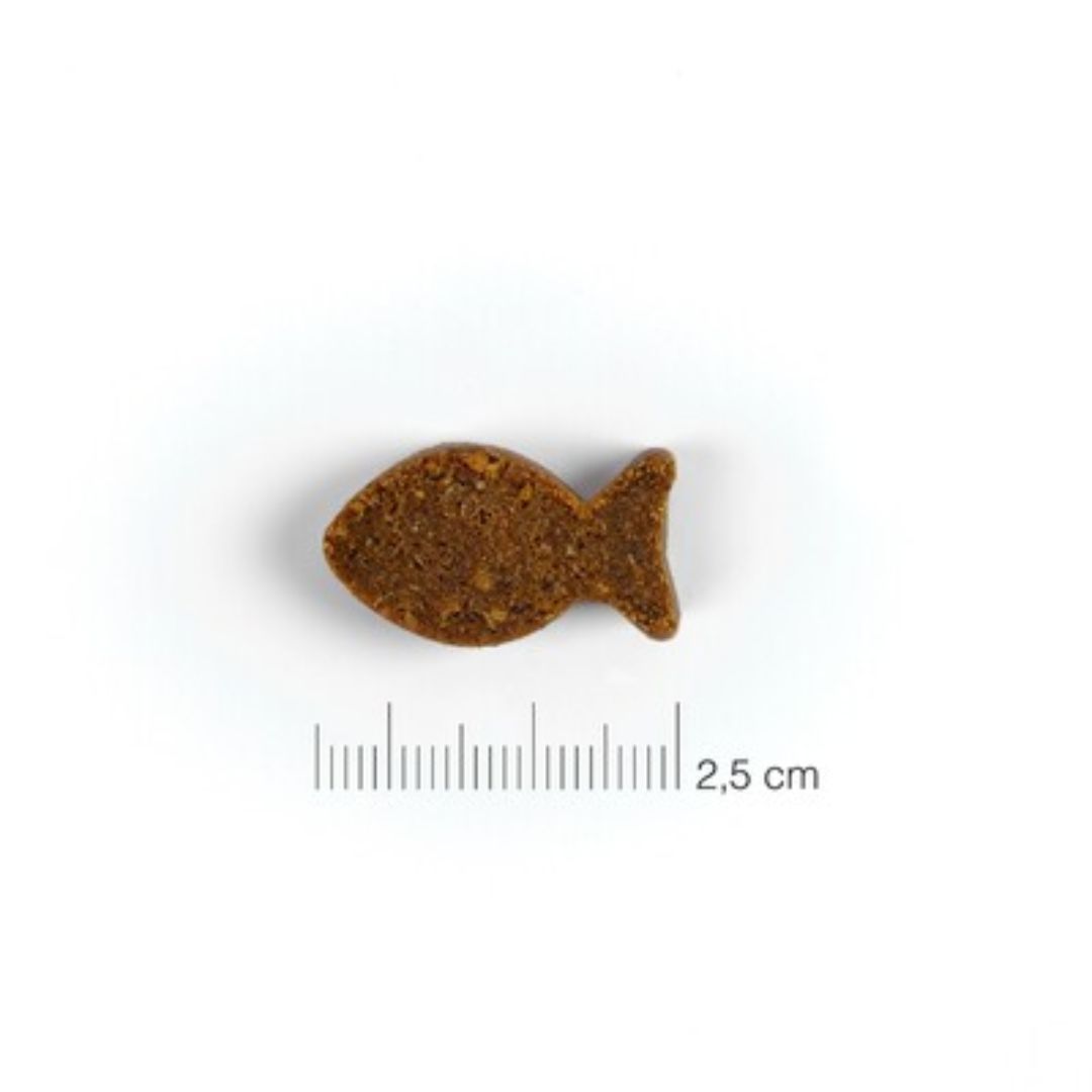 MOMENTS SALMON - Imagen 2
