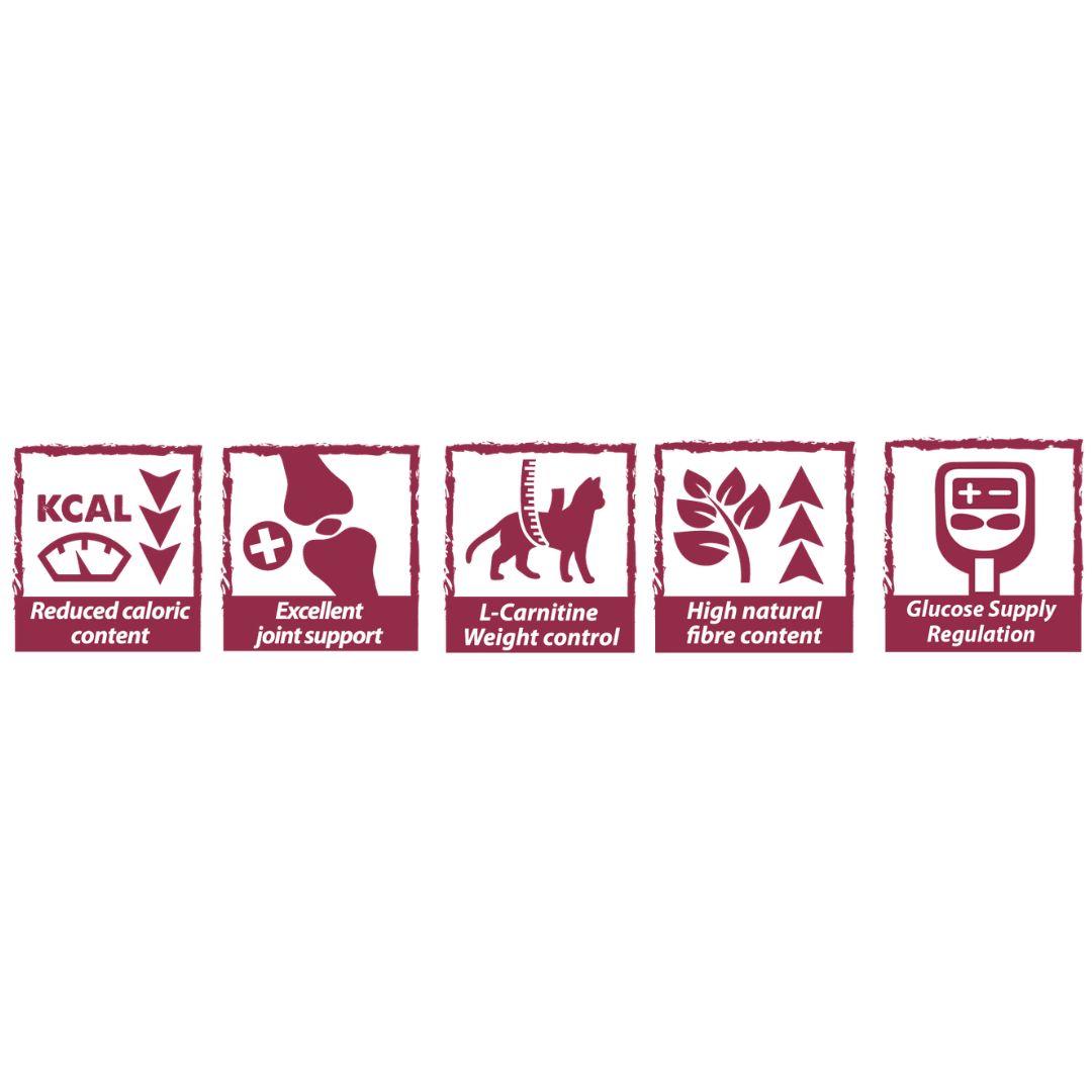 Natural Greatness Obesity-Diabetic Vet Care - Imagen 2