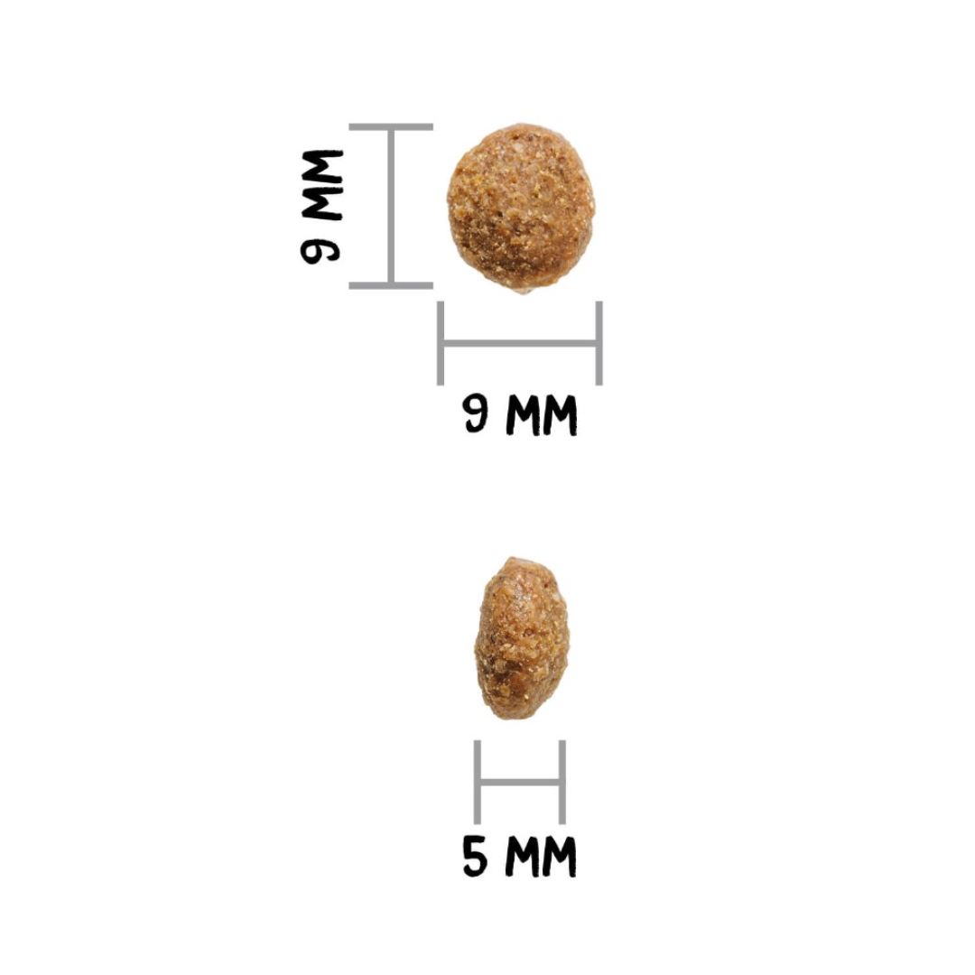 Ownat Author Fresh Lamb & Pork Low Grain - Imagen 3
