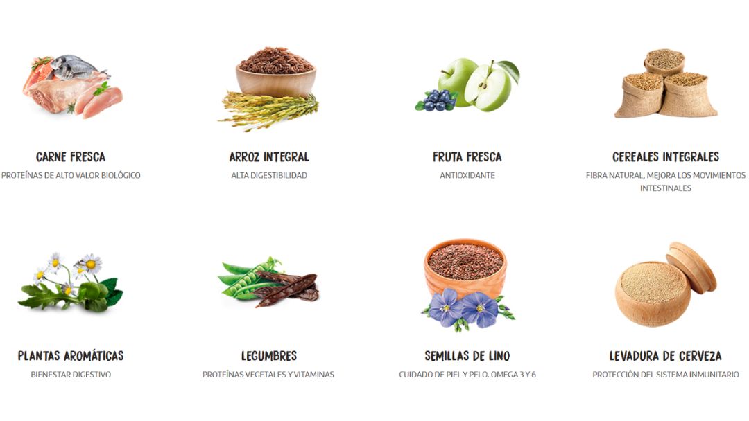 ownat-classic-ingredientes-naturales Ingredientes naturales Ownat Classic