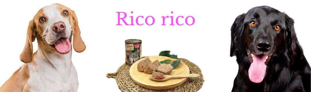 logo-pagina-perros-comida-humeda