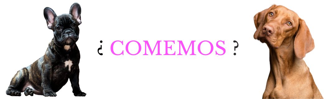 logo-pagina-piensos-perros