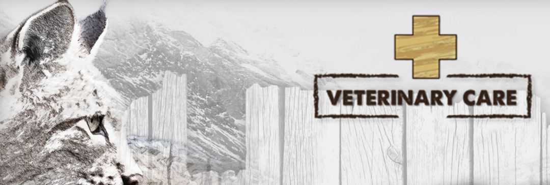logo-natural-greatnes-cat-veterinary-care natrual gretaness veterinary care