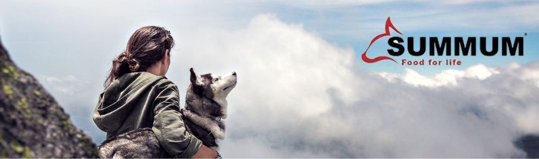 Piensos deshidratados 100% naturales para perros