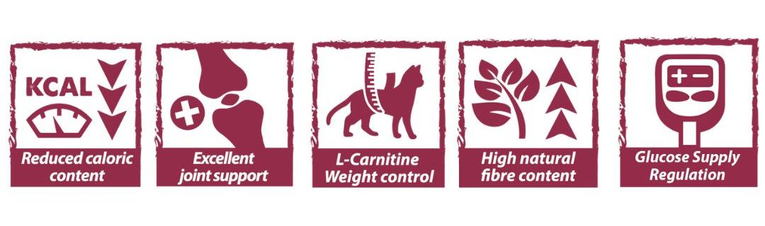 natural-greatness-care-cat-obesity-diabetic-5kg-int